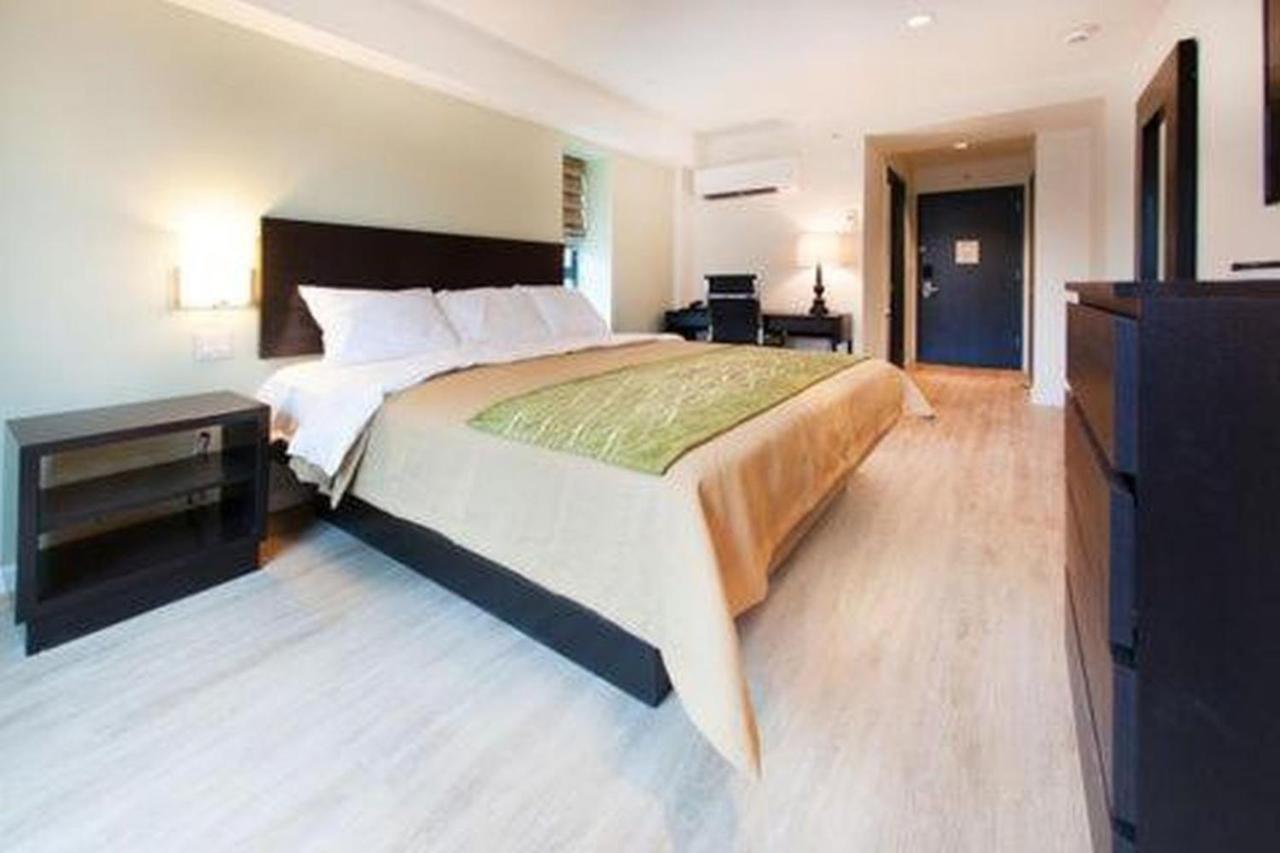 Comfort Inn & Suites - Kew Gardens Near La Guardia Airport New York Exteriér fotografie